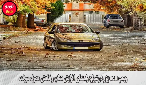 ریمپ ecu پژو در شیراز