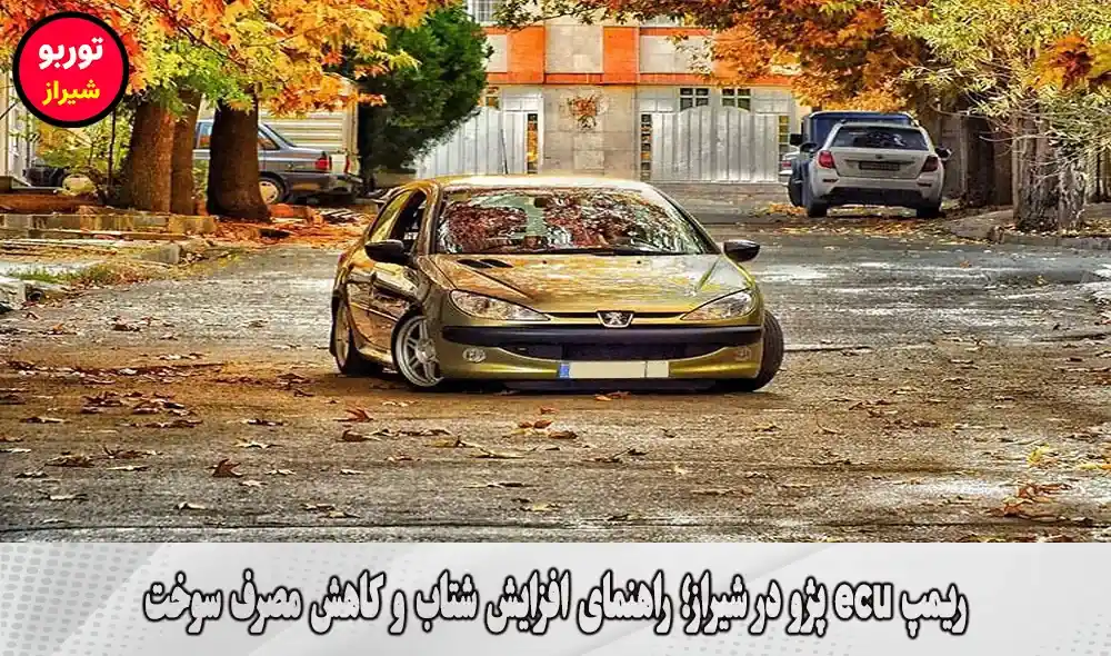 ریمپ ecu پژو در شیراز