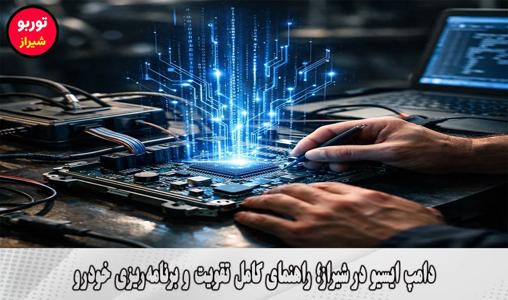 دامپ ایسیو در شیراز