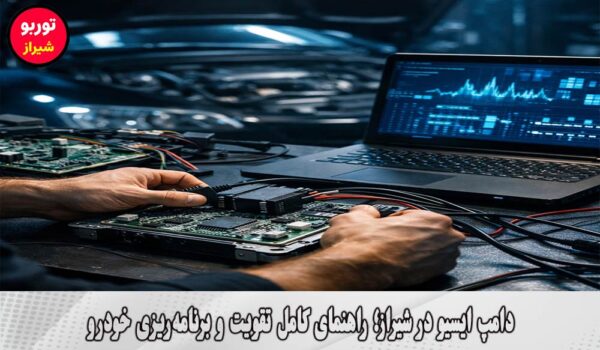 دامپ ایسیو در شیراز