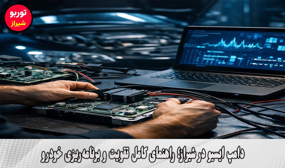 دامپ ایسیو در شیراز